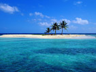 Summer wallpapers41